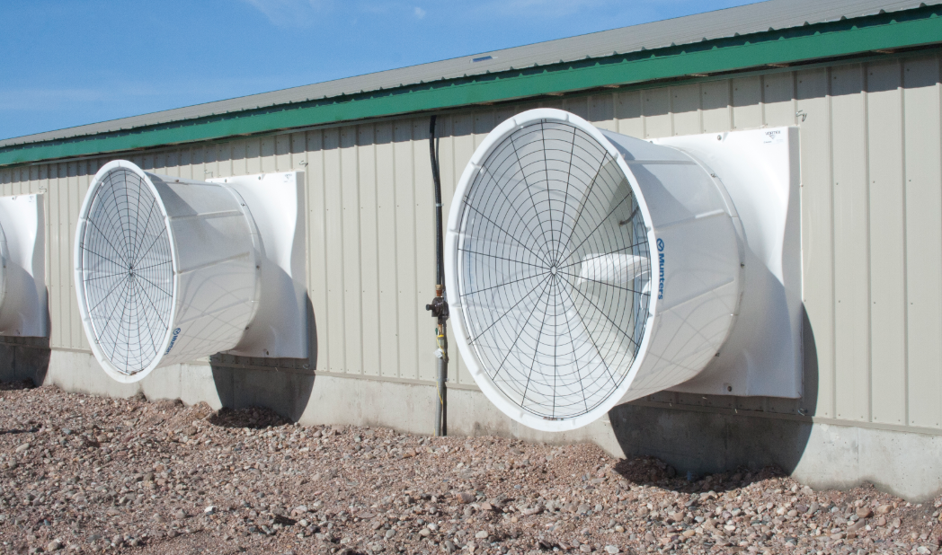 Keeping pigs comfortable in the winter using ventilation to optimise